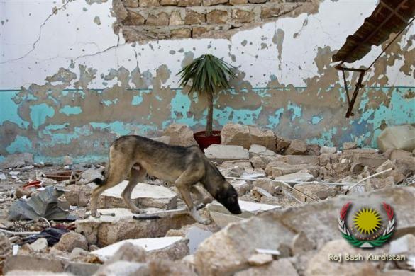 Once loved innocent victims of war