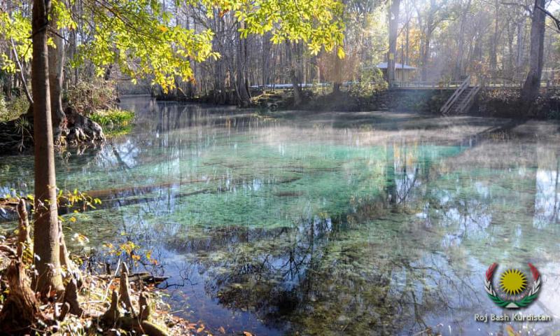 springs