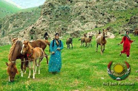 kurdish farm girl